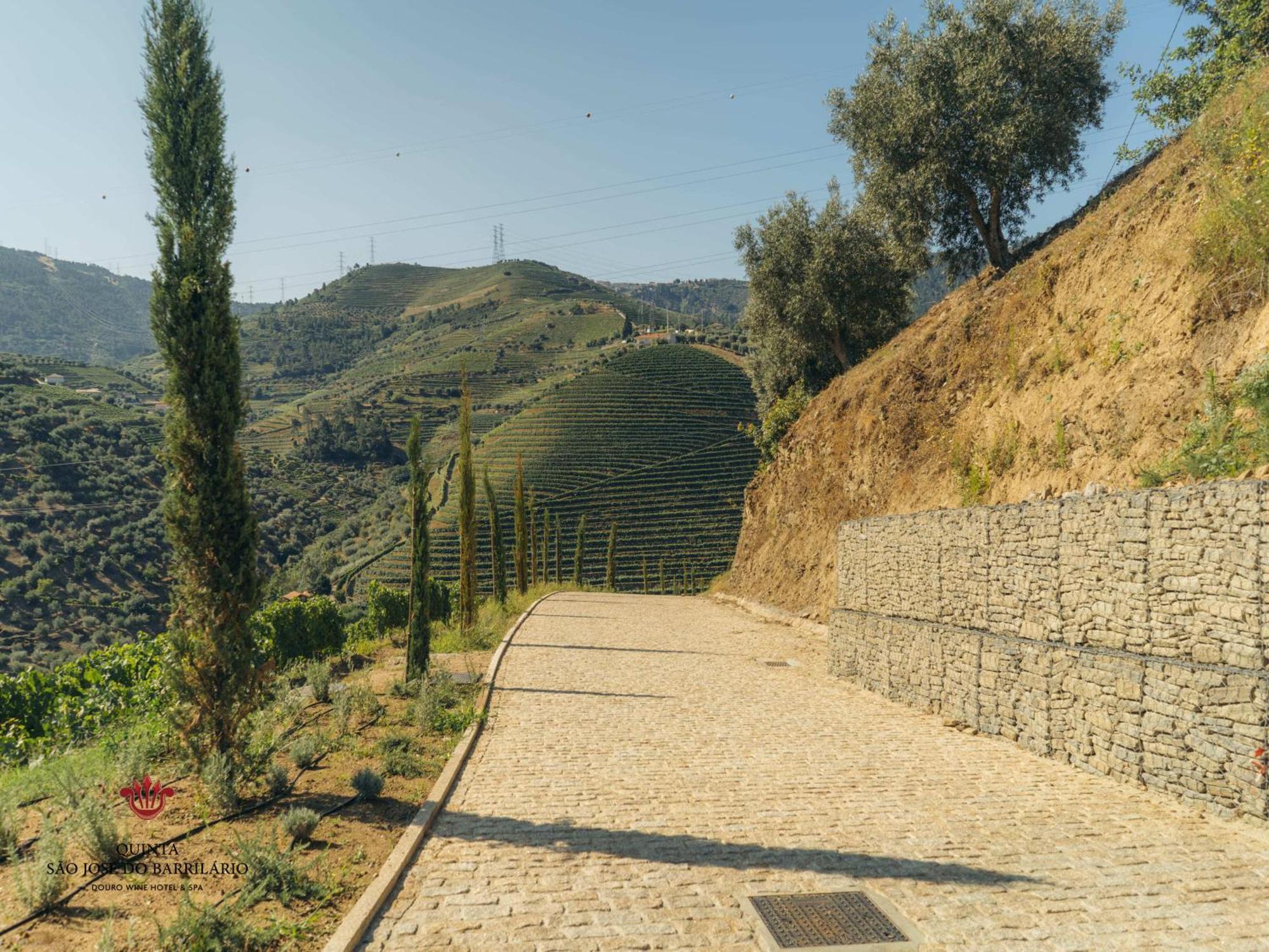 Barrilario Douro Wine Hotel E Spa - Quinta Sao Jose Do Barrilario Армамар Екстериор снимка